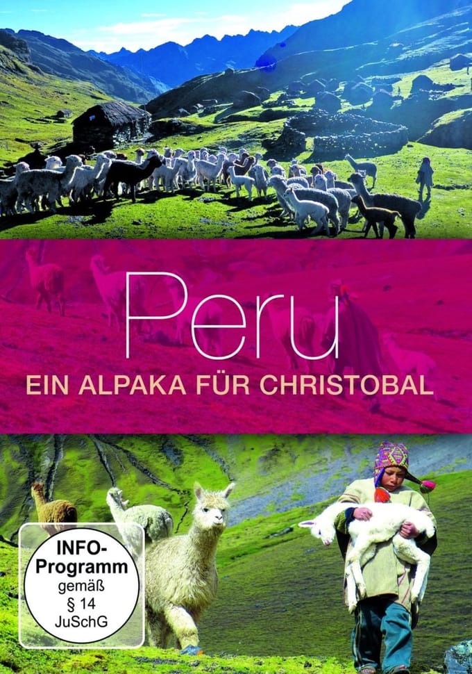 Peru, Ein Alpaka Fur Christobal
