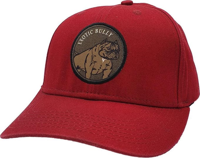 Lauren Rose - Exotic Bully Dog Patch - Pet - Rood - Onze Size