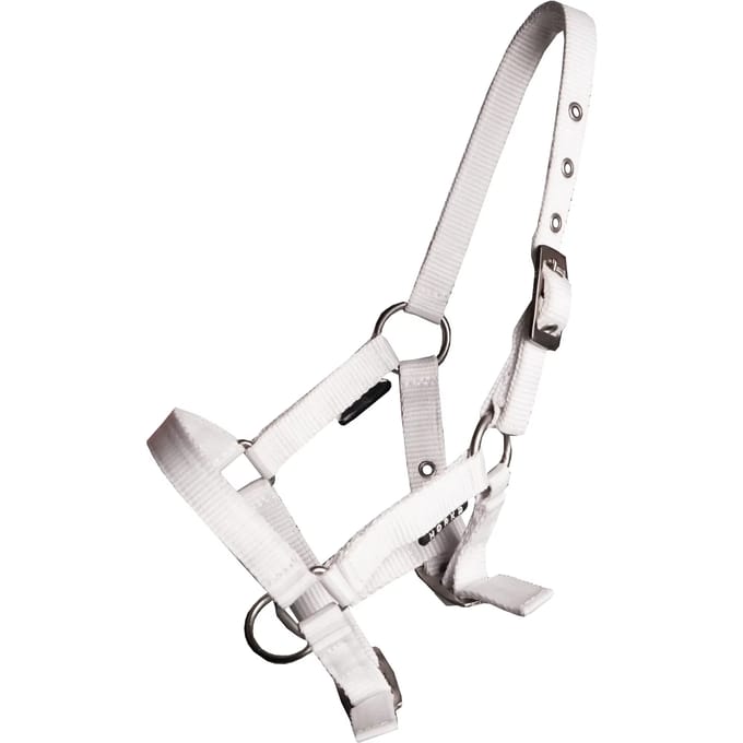Halster Basic Veulen | Pony