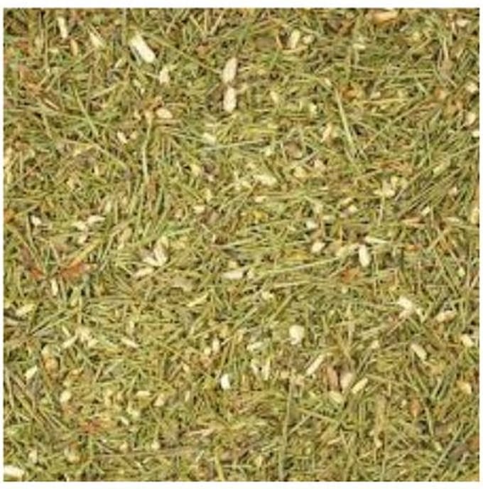 Tuana Kruiden - Dennennaalden Thee (125g) - TUTHEE012