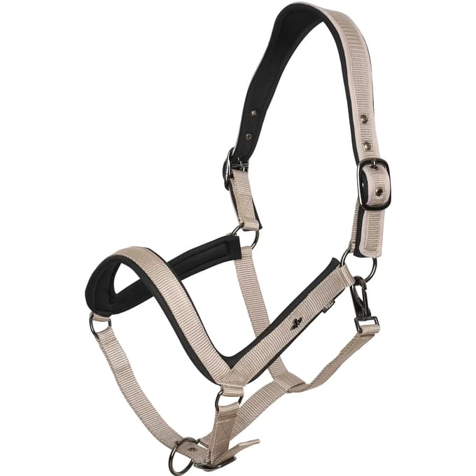 Halster voor paarden HV Polo Essential