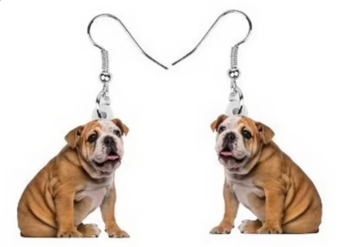 Oorbellen American Bulldogs