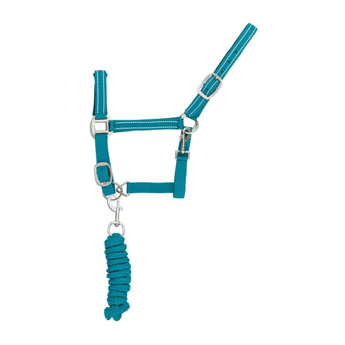 Reflecterende nylon halster en longe voor paarden Supreme