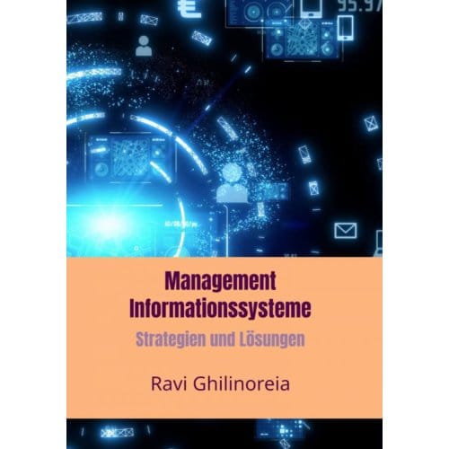 Management Informationssysteme - Ravi Ghilinoreia