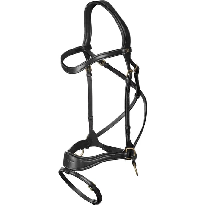 Bridle D motion gecombineerde neusriem Dy'on