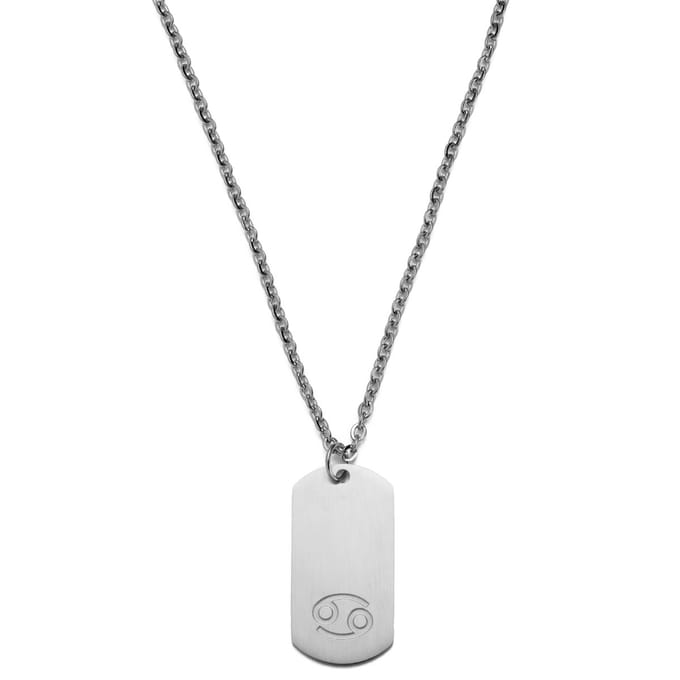 Zilverkleurige Stalen Ketting met Sterrenbeeld Kreeft