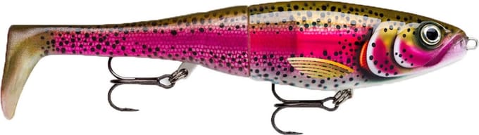 Rapala X-Rap Peto | Live Rainbow Trout | 20cm
