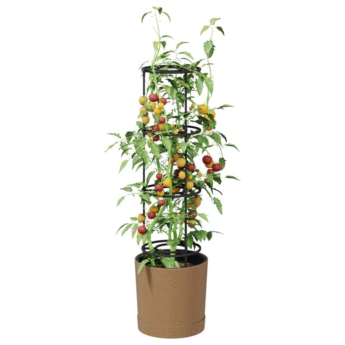 vidaXL - Tomatenteler - Naturo - ECO - Ø - 29 - x - 106 - cm - WPC