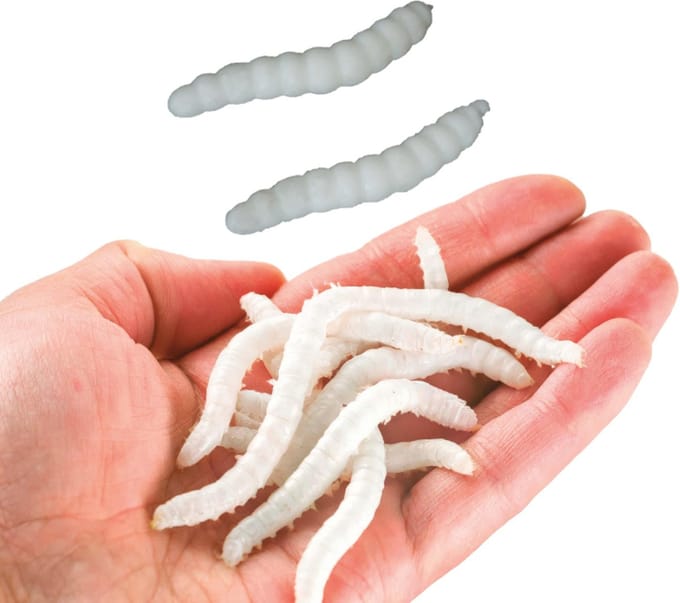 Fiestas Guirca - Elastische wormen 4 cm - 20 stuks - Halloween - Halloween Decoratie - Halloween Versiering