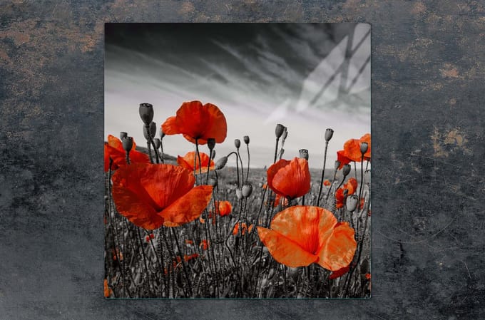 TMK ArtDeko - Snijplank - 50x52 cm - Veilig en Praktisch - Multi-functioneel - Modern Design