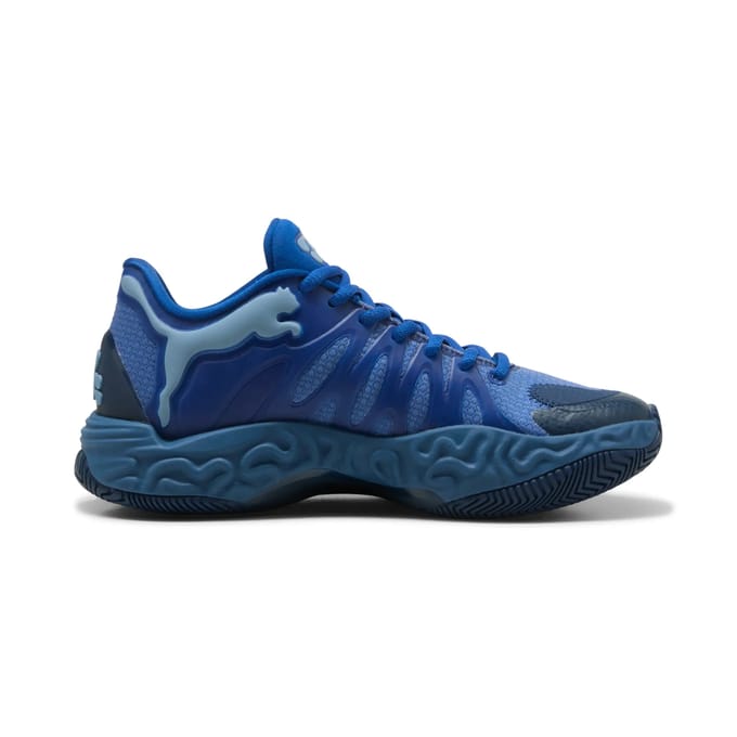 Basketbalschoenen voor kinderen Puma Hali 1