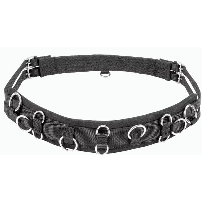 Mini-shetty paard surfaix USG