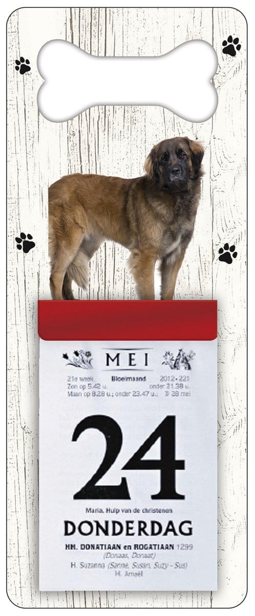 Scheurkalender 2027 Hond: Leonberger