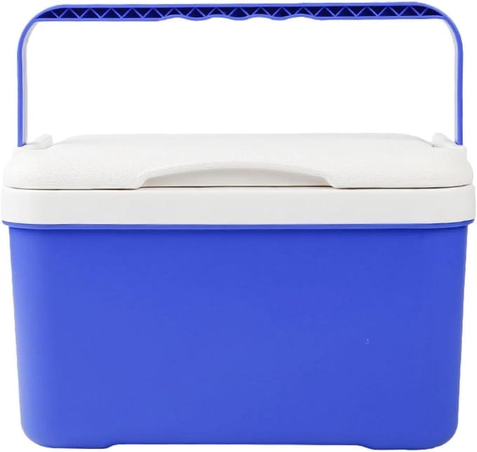 Draagbare Koelbox - Geïsoleerde Container - Buitenactiviteiten - Luchtdicht Deksel - 6 Liter - Zwart