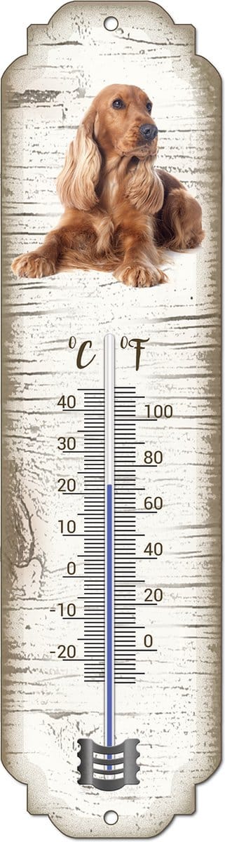 Thermometer: Engelse Cockerspaniël | Hondenras | Temperatuur binnen en buiten | -25 tot +45C
