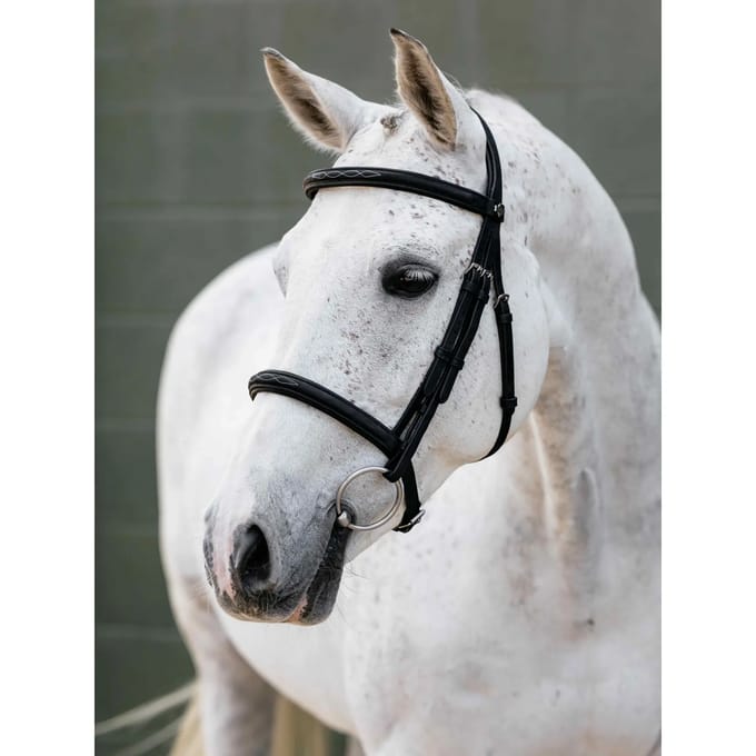 Bridons voor paard met neusriem LeMieux