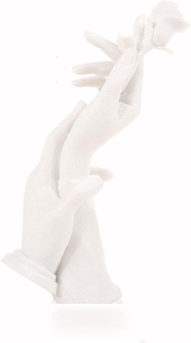 Sieradenhouder Hand - Ring Display - Sieraden Presenteren - Luxe Uitstraling - 12x28cm - B