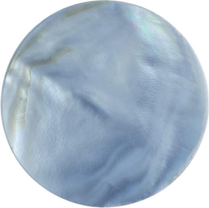 Quiges - Munthouder Munt 25mm Schelp Blauw - EPRS009