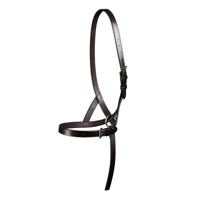 Halsband voor veulen 3/4 Premier Equine