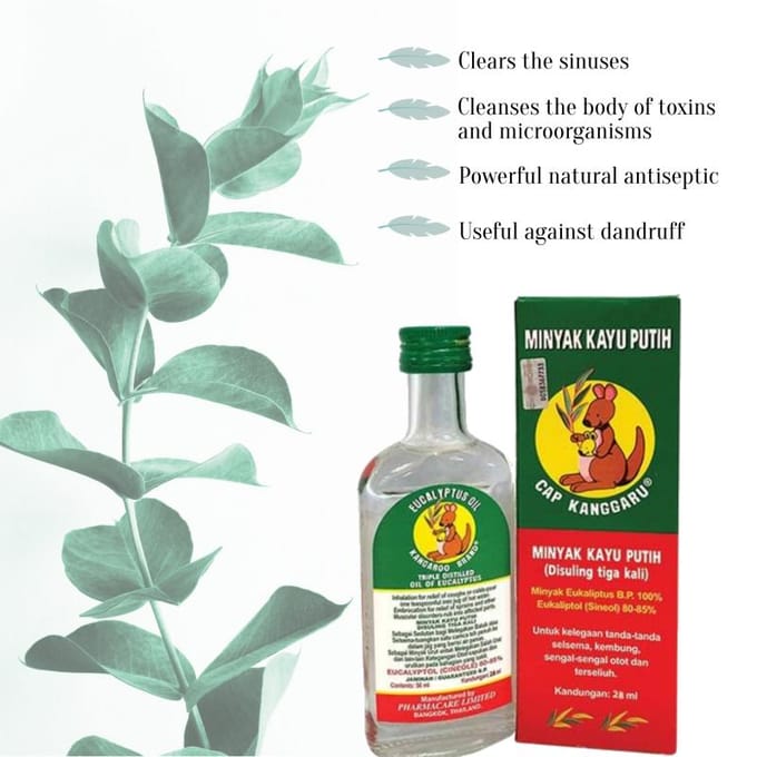Huile d'eucalyptus doublement distillée Kangourou 28 ML avec huiles essentielles