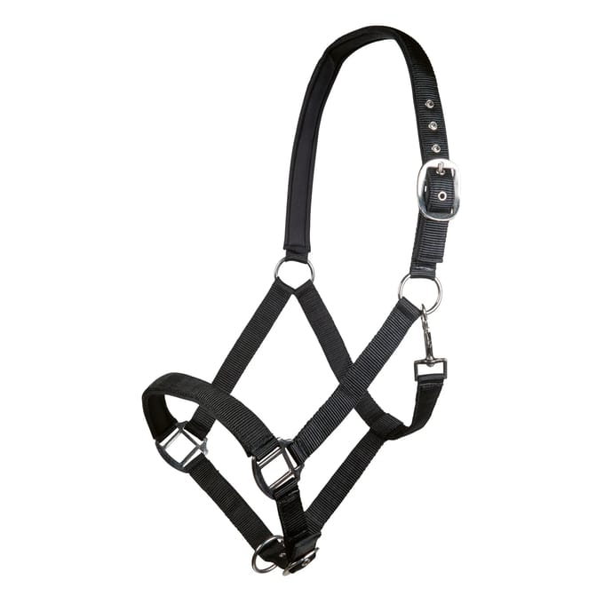 Nylon halster voor paard met zachte voering HKM Charming