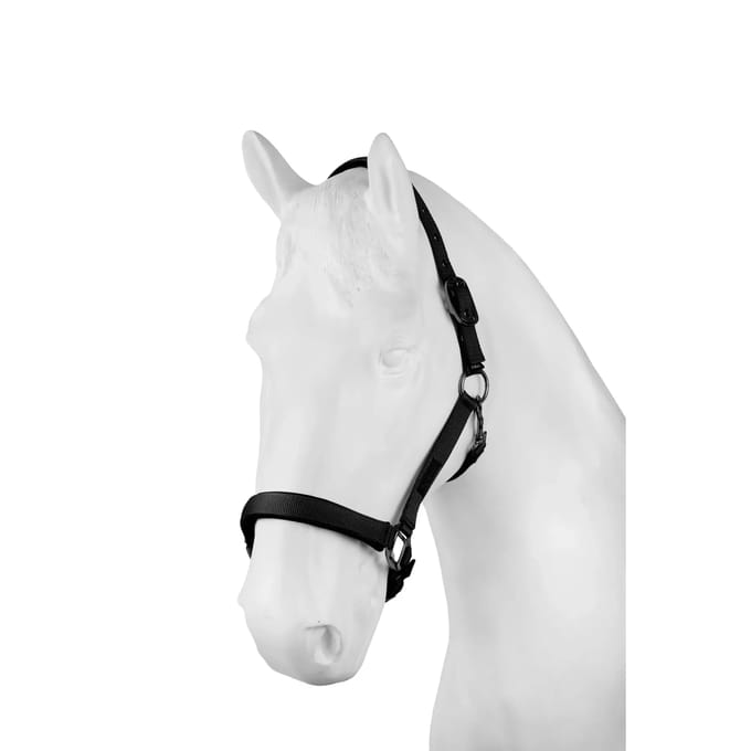 Halster voor paarden Horze