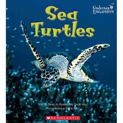 Sea Turtles (Undersea Encounters) - Mary Jo Rhodes