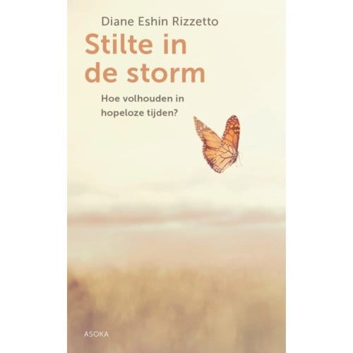 Stilte In De Storm - Diane Rizzetto