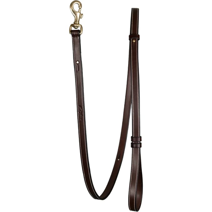 Dy'on Adjustable Dog Leash Bruin