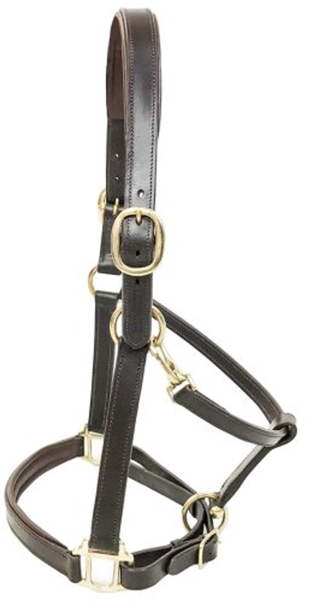 KM Elite - Padded Lederen Halster - Havana - Medium - Cob