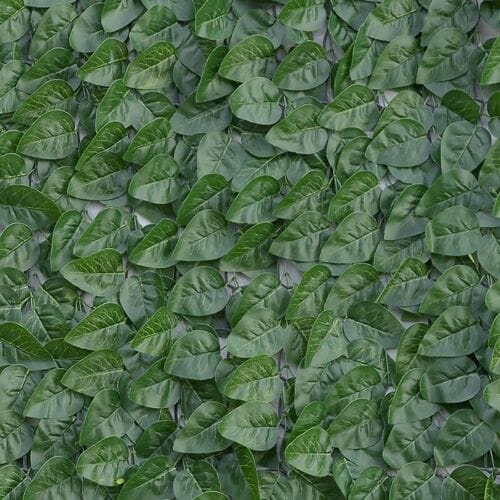 TENAX Synthetische Heg Laurus Pro - 150 x 2000 cm, Groen