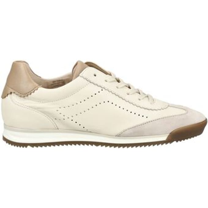 Lage Sneakers Gabor Sneaker