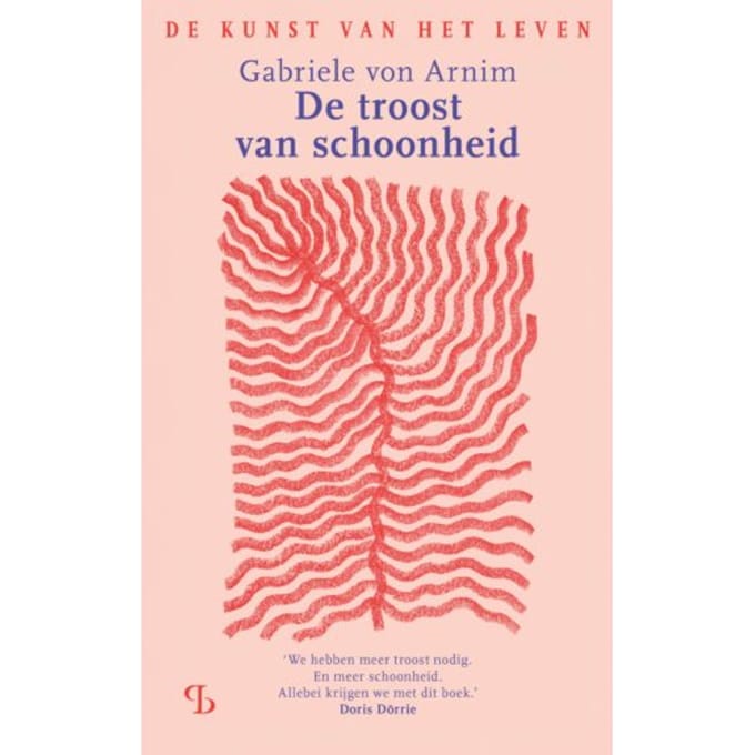 De Troost Van Schoonheid - Gabriele von Arnim
