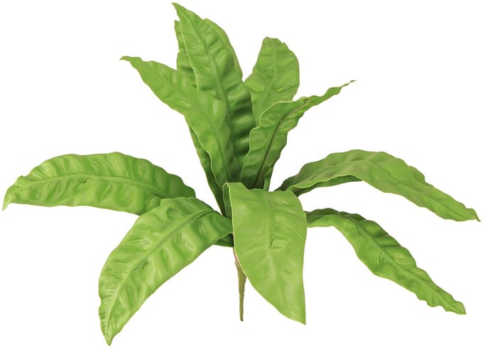 Nestvaren kunstplanten in groen 5,5×22cm 2st, 2 Stück