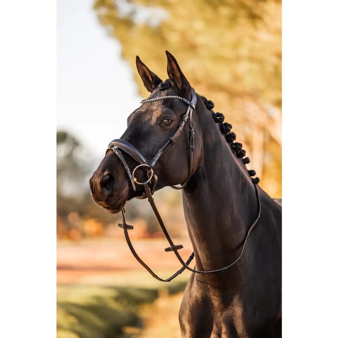 Horze Lockhart anatomisch hoofdstel, Black, Vollblut