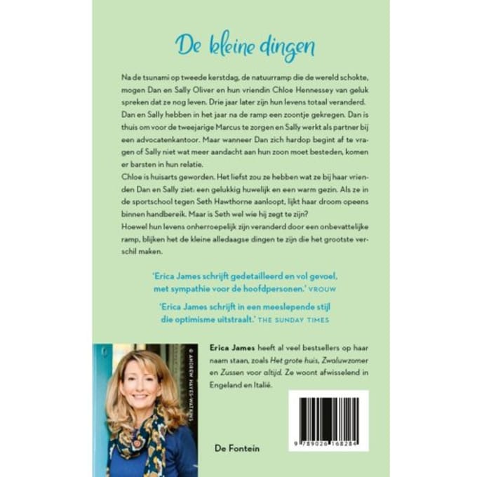 De Kleine Dingen - Erica James