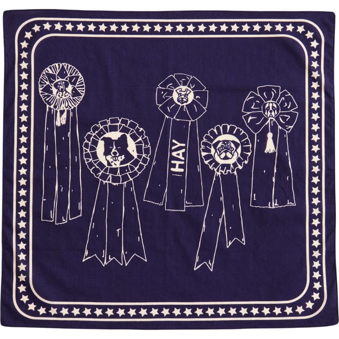 Hay zzHAY - Recycled Dogs Scarf 55 x 55 (Dark Blue)