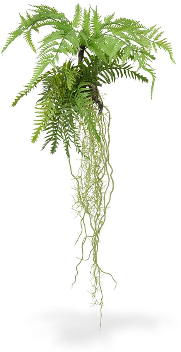 Tillandsia Varen kunst hangplant 90cm