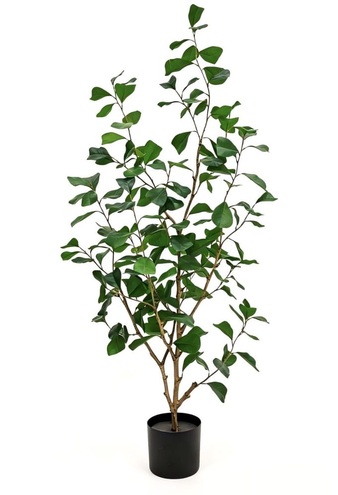 Ficus Triangularis Kunstplant 120cm | Hoogwaardige kunstplanten | Ficus Nepplant