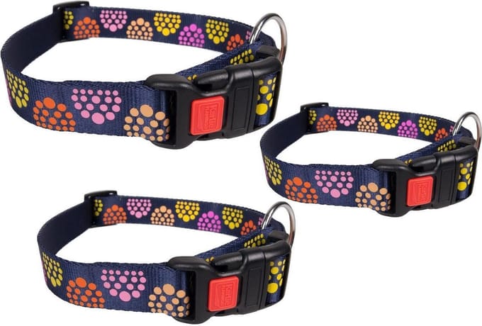 Collar party blue 40-55cm 20mm