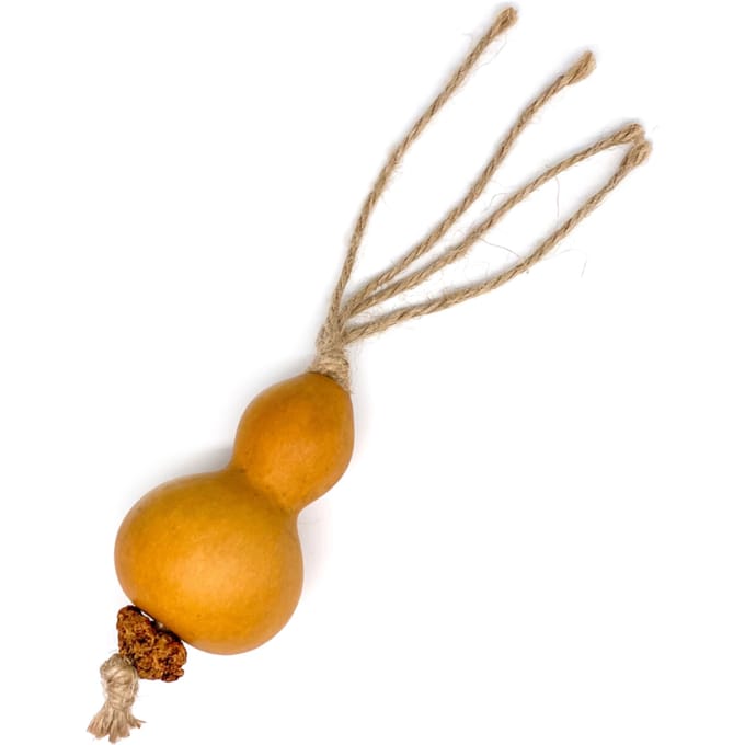 Aumüller Silvervine Dentalspeelgoed Pompoen Ø5 x H24cm Kat
