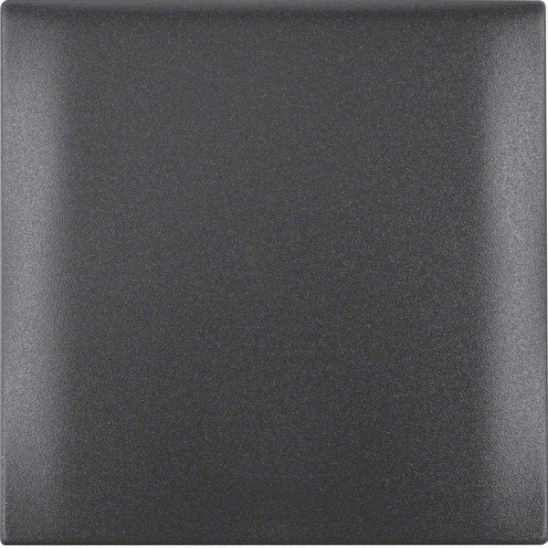 Hager Berker Integro Afdekraam Schakelmateriaal - 918282505 - E2FKV