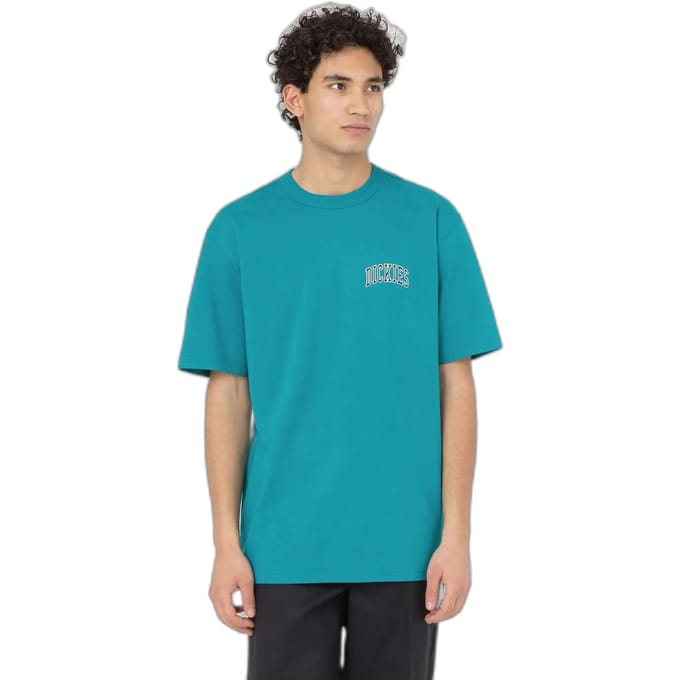 T-shirt Dickies Aitkin Chest