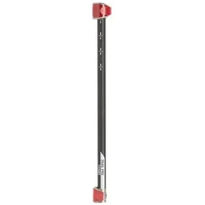 Damesstokken Black Diamond Pro S14