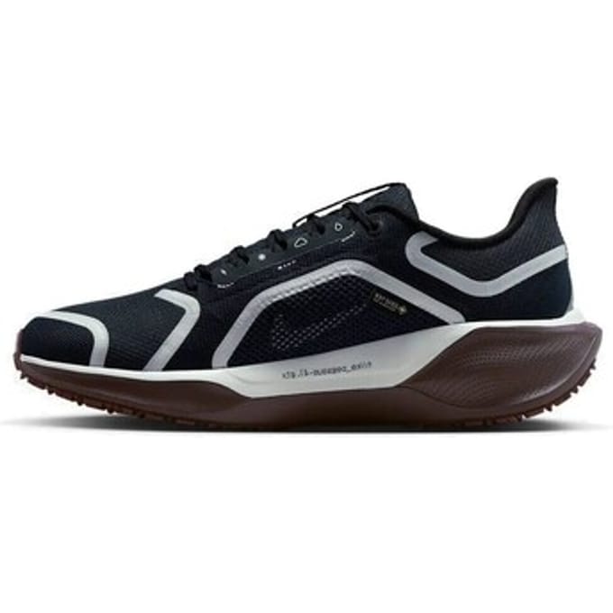 Hardloopschoenen voor dames Nike Pegasus 41 GORE-TEX