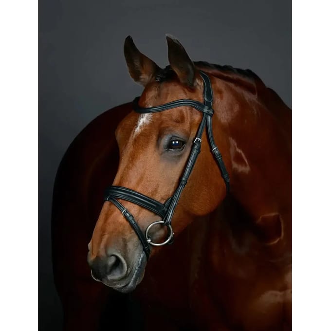 Flash hanoveraanse dressuurteugel met padding Collegiate Comfitec Opulux