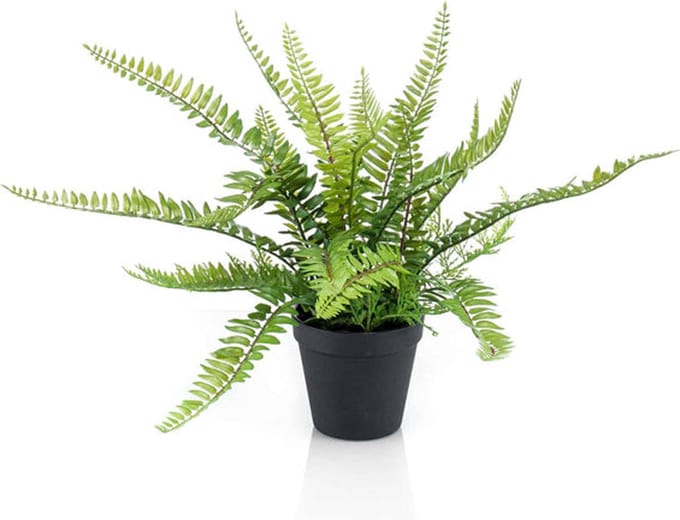 Emerald - Kunstplant in pot Varen struik 35cm - Kunstplant voor binnen
