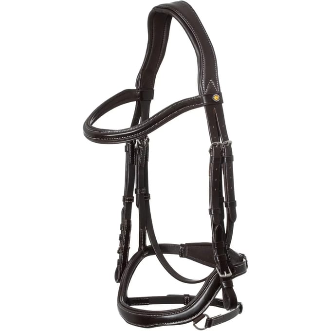 Anatomische hoofdstellen Equestro