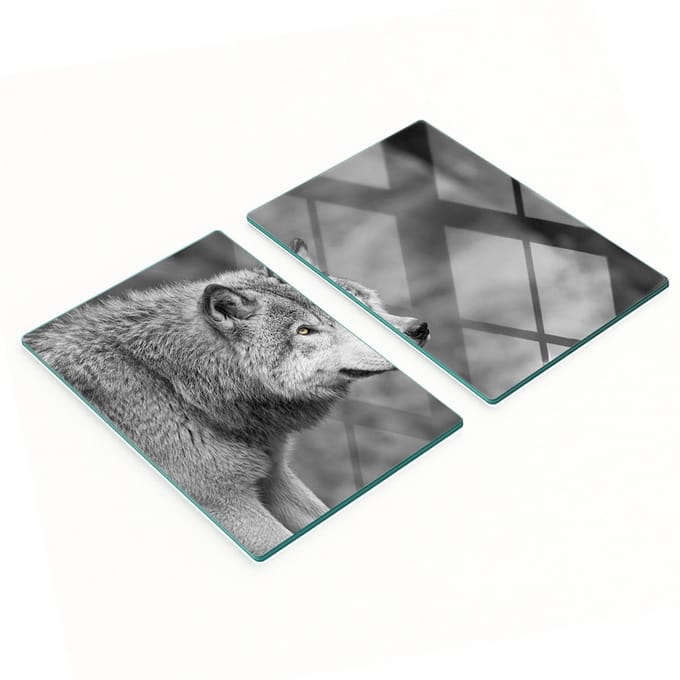 Set van twee decoratieve glazen keukenplanken, wolfgrijs, 2x40x52 cm