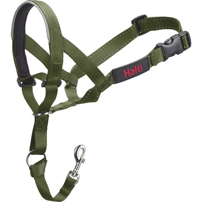 Halti hondenhoofdband bosgroen maat 3: Doberman, Labrador, Setter hond